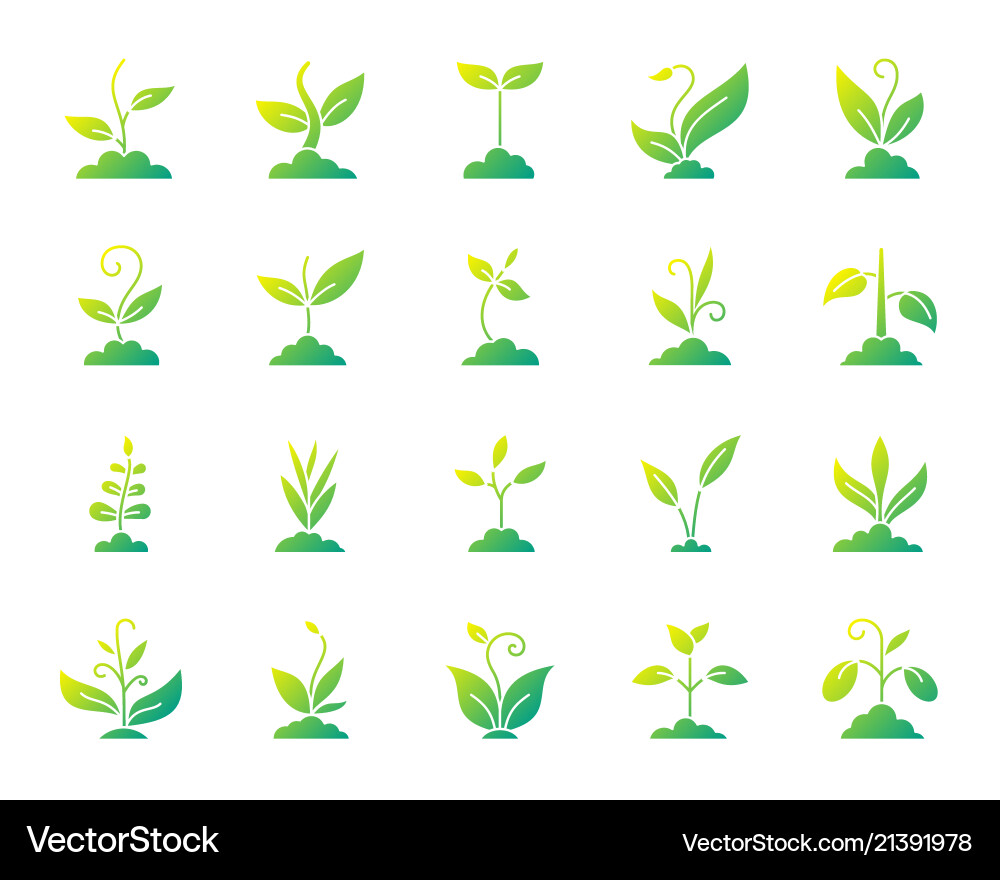 Grass simple gradient icons set Grass simple gradient icons set vector image