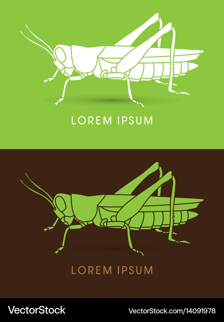 Grasshopper side view vector image