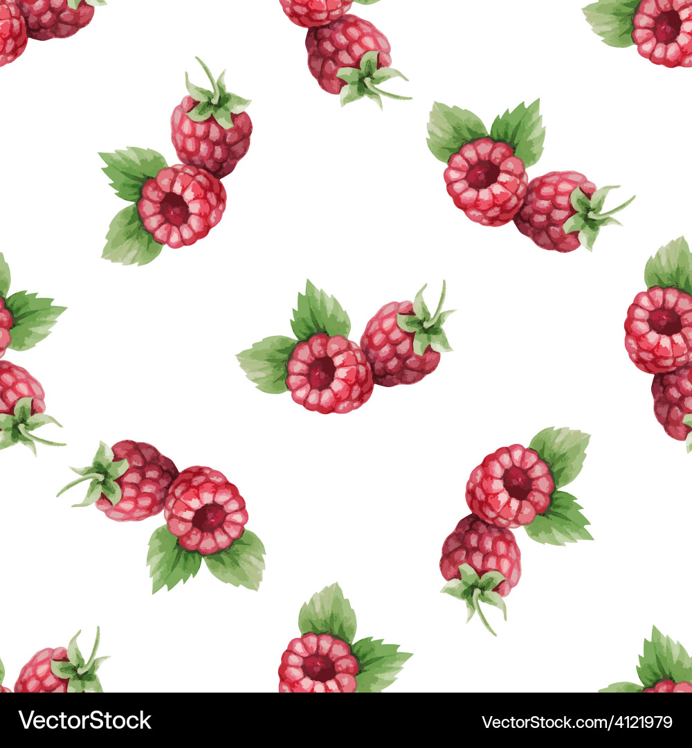 Watercolor Raspberry Pattern vector image