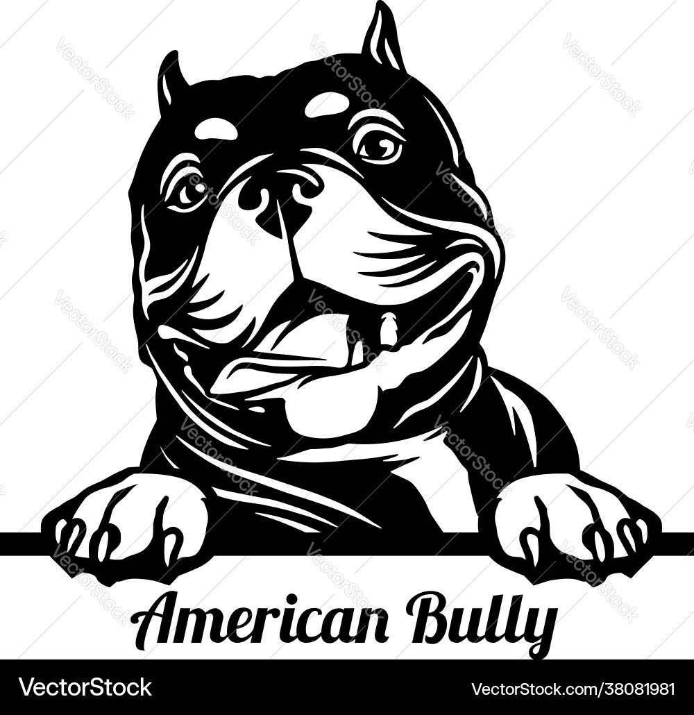 American Bully Dog Head - Isolated Vector Image