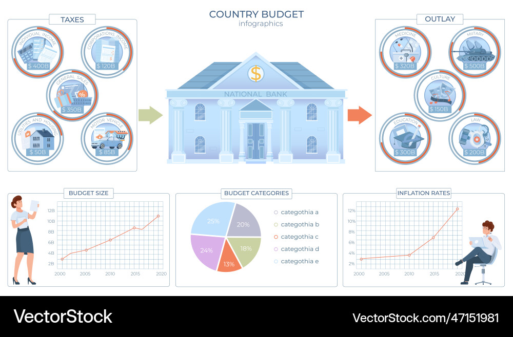 Budget country government infographics vector image