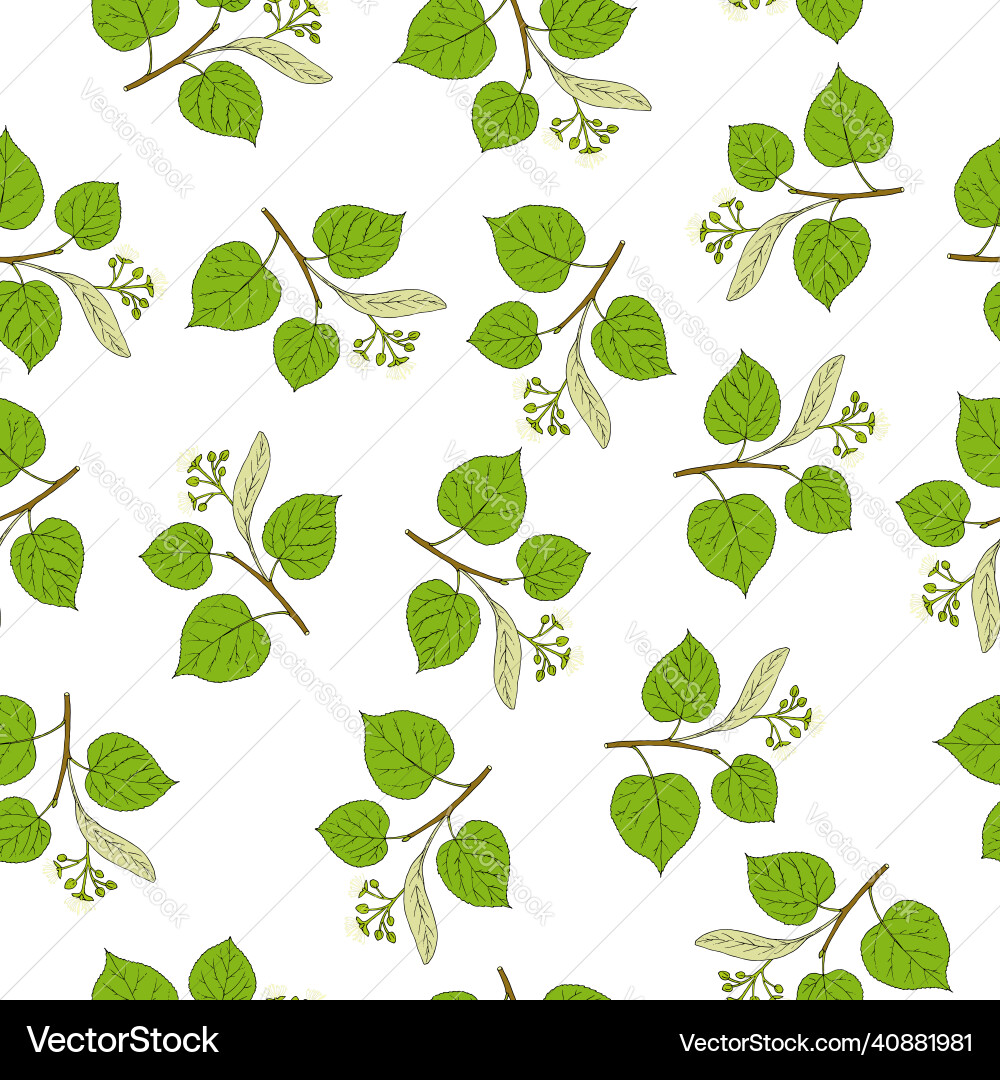 Seamless pattern with linden tree branches vector image
