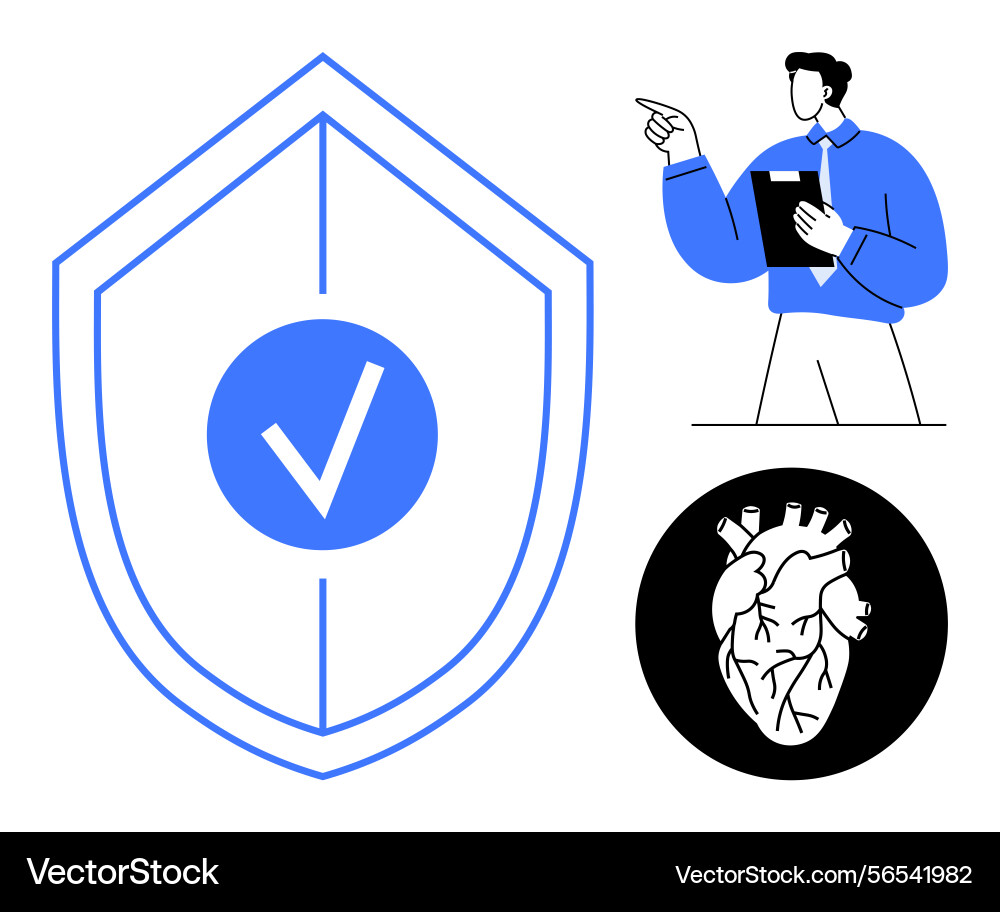 Secure healthcare concept with checkmark shield vector image