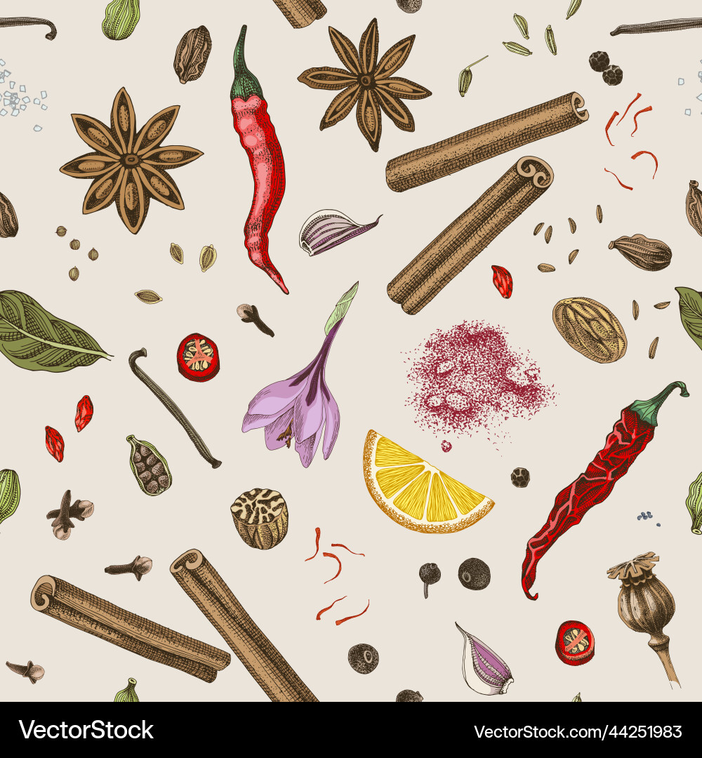 Seamless pattern with hand draw spices vector image