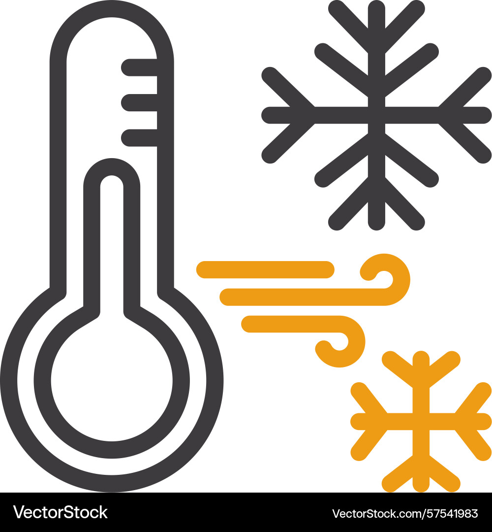 Snowflake with thermometer two color icon Vector Image