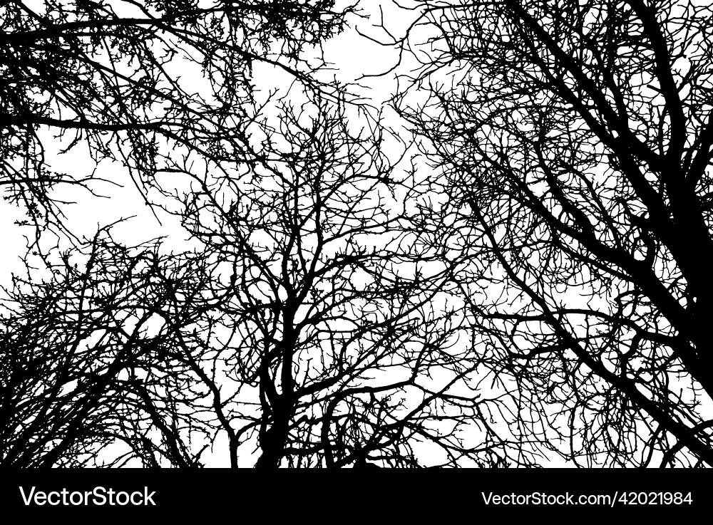 Background of branches trees silhouette Background of branches trees silhouette Vector Image