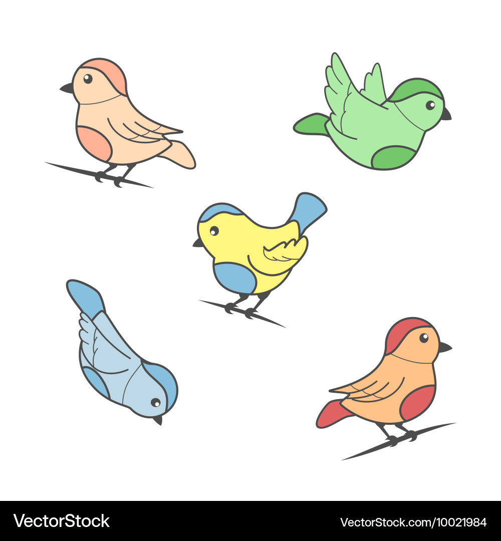 Bird image in color vector image