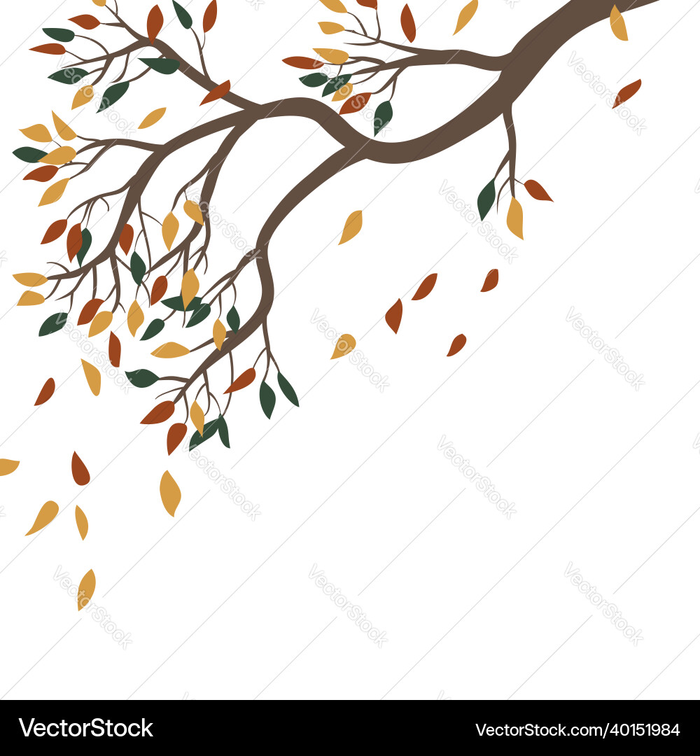 Hand drawn autumn tree branch with falling leaves – Royalty-Free Vector |  VectorStock, image size:1000x1080