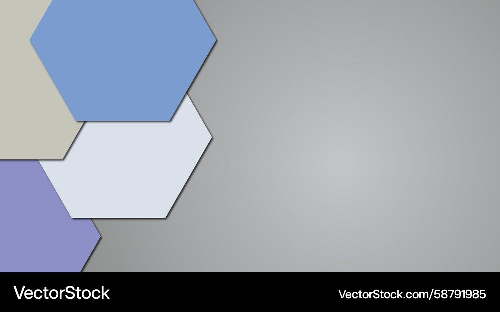 Abstract hexagon gray background with copy space Vector Image