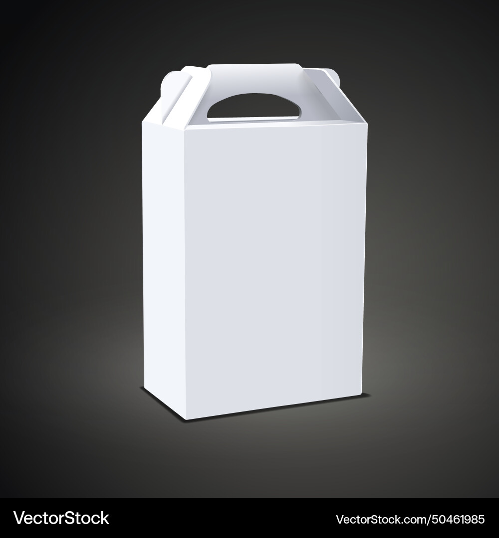 Blank package box with handle Vector Image