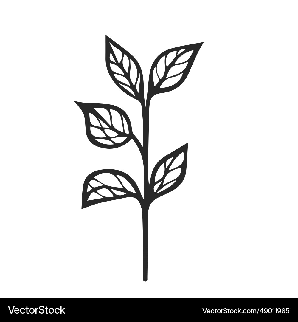 Doodle style simple element Vector Image