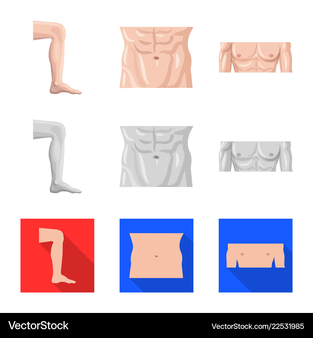Isolated object of human and part symbol set Isolated object of human and part symbol set vector image
