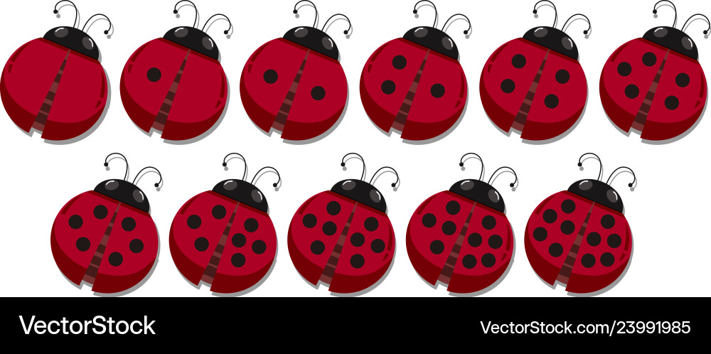 Ladybug Number Spot Counting Vector Image