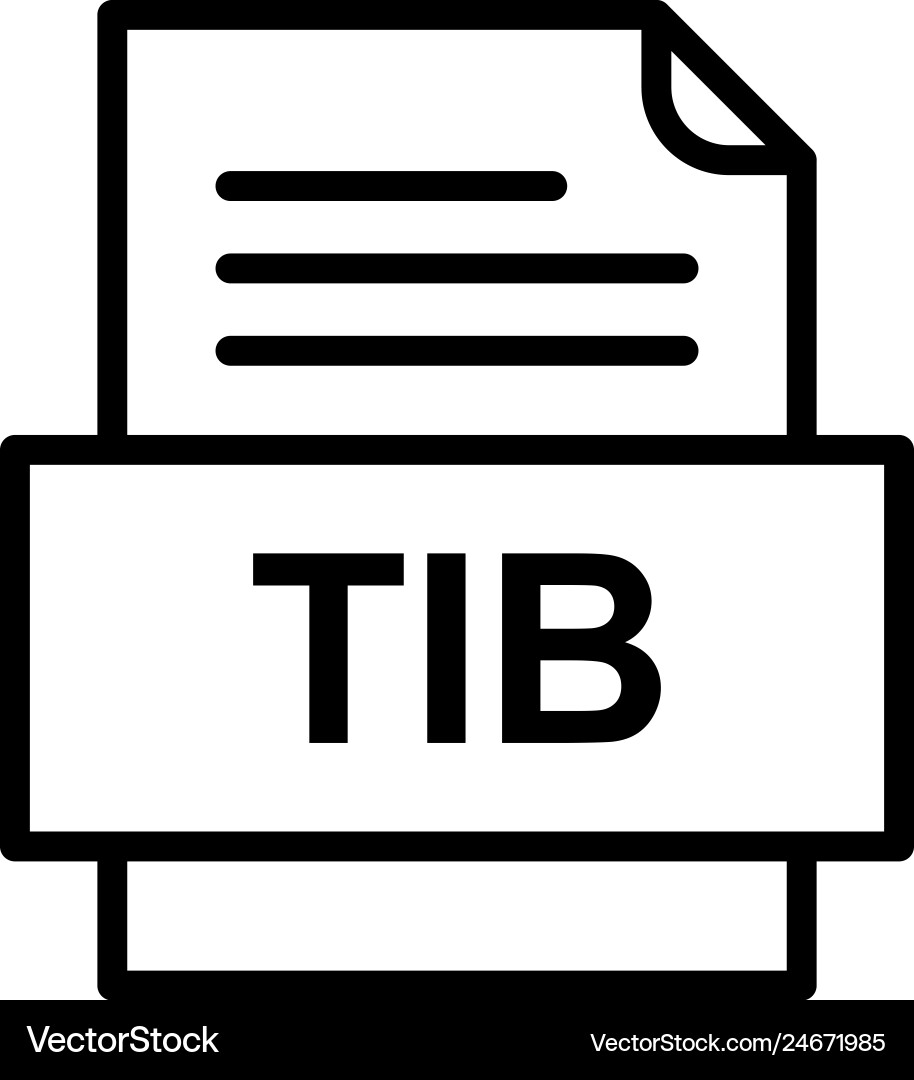 Tib file document icon vector image