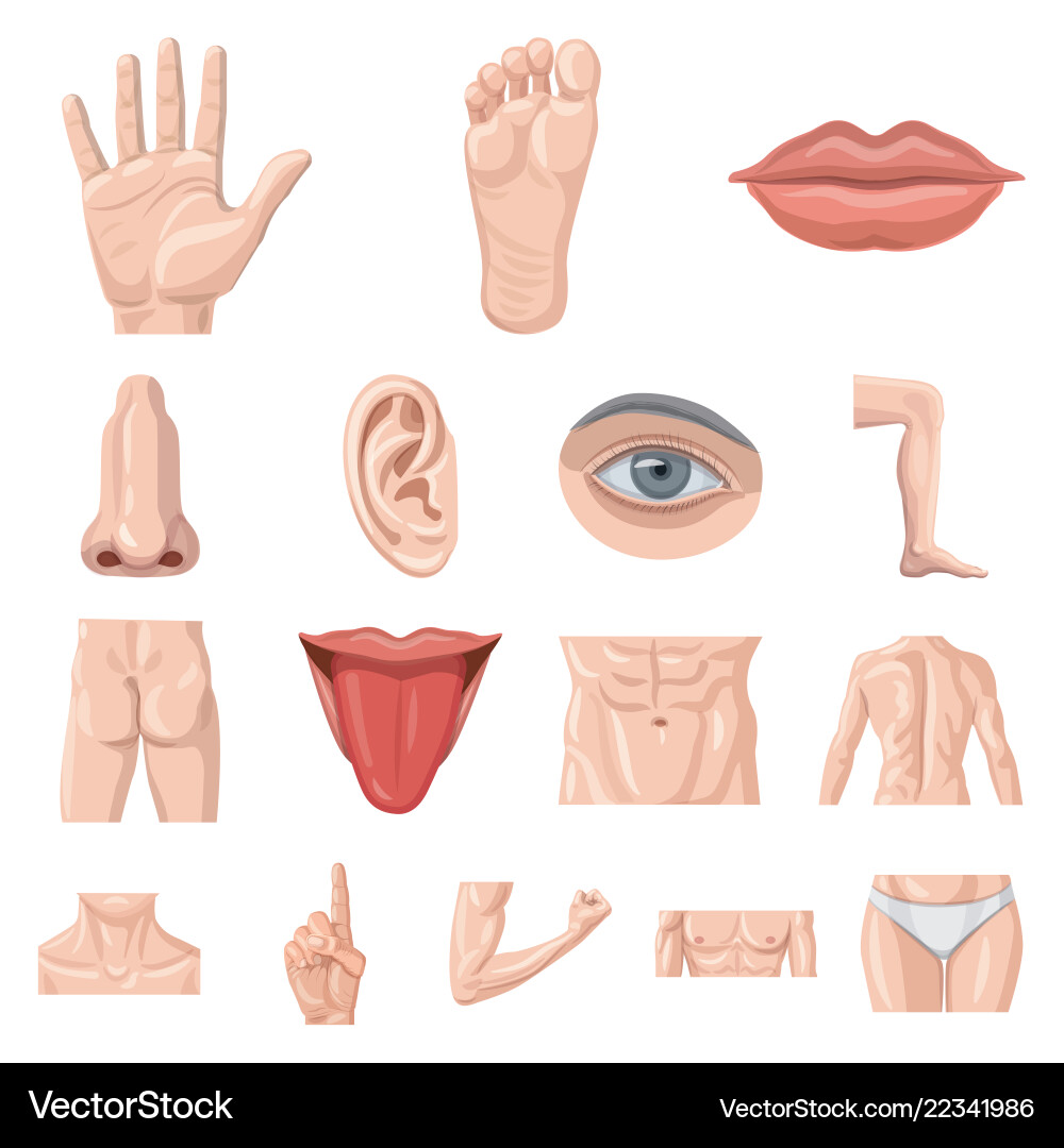 Isolated object of human and part sign collection Isolated object of human and part sign collection vector image