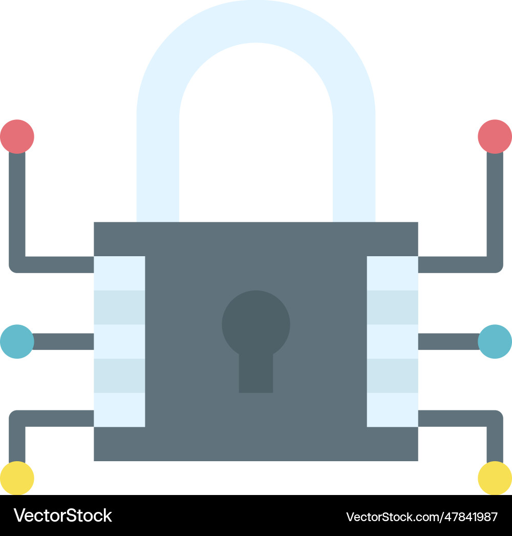 Data encryption icon image vector image