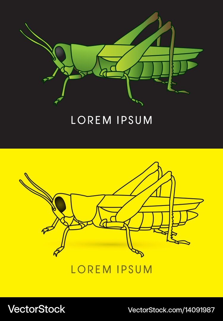 Grasshopper side view vector image