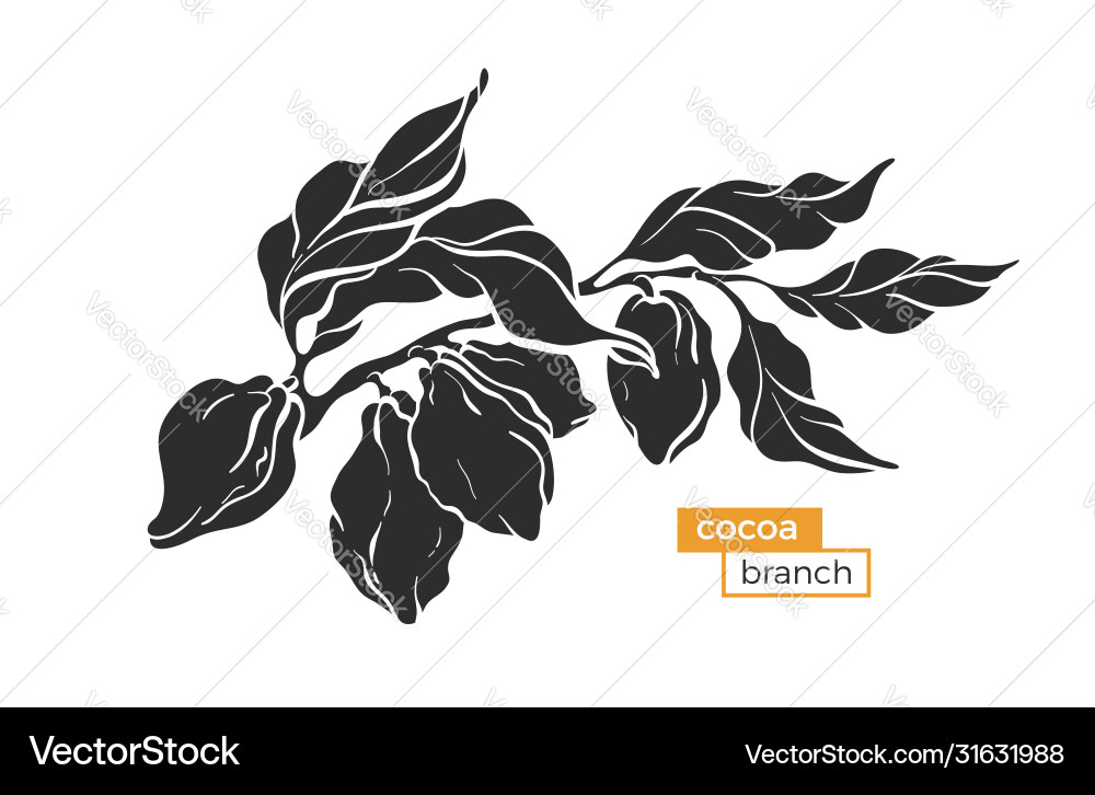 Cocoa branch shape Cocoa branch shape vector image