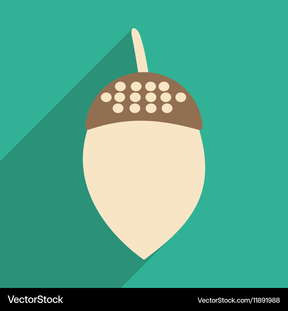 Flat with shadow icon and mobile application acorn Vector Image