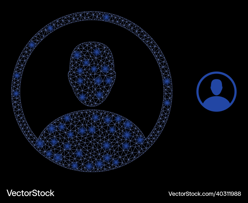 Mesh net user with glitter wire frame Mesh net user with glitter wire frame vector image