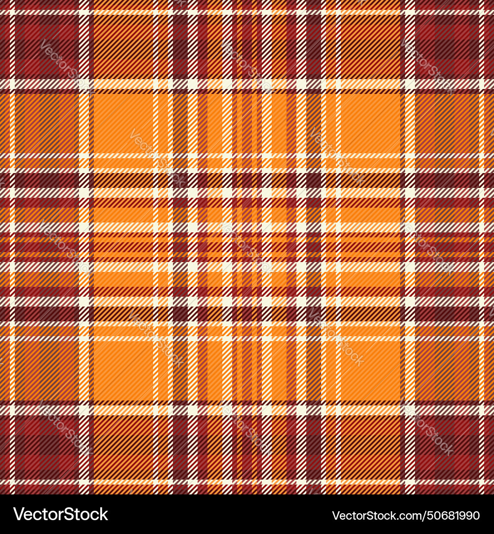 Fabric check pattern of background tartan Vector Image