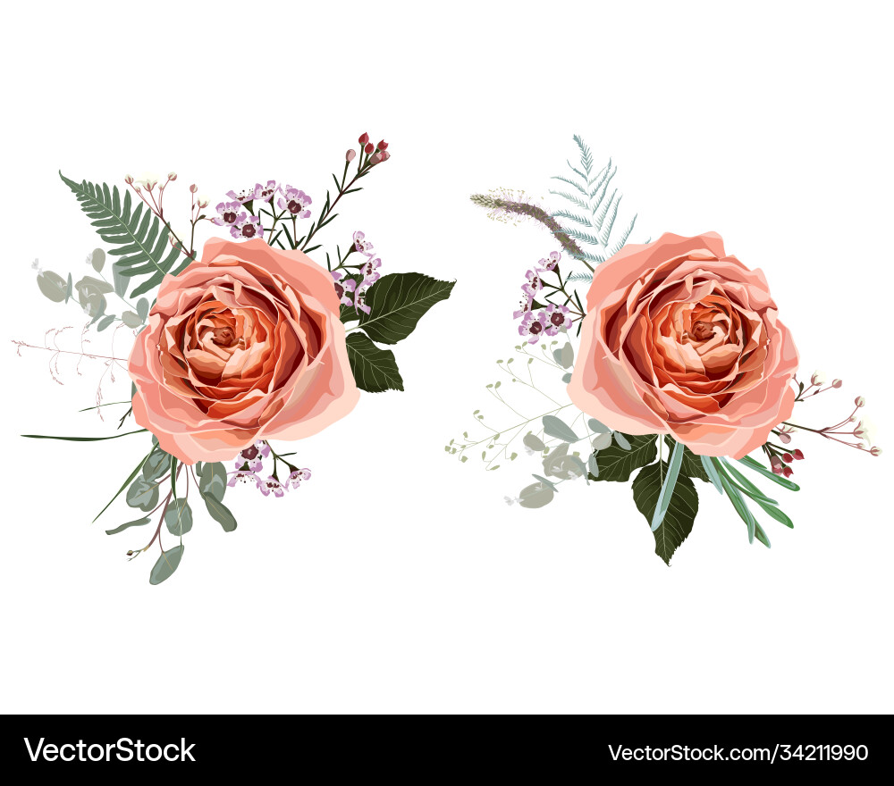 Floral creamy roses bouquet design Floral creamy roses bouquet design vector image