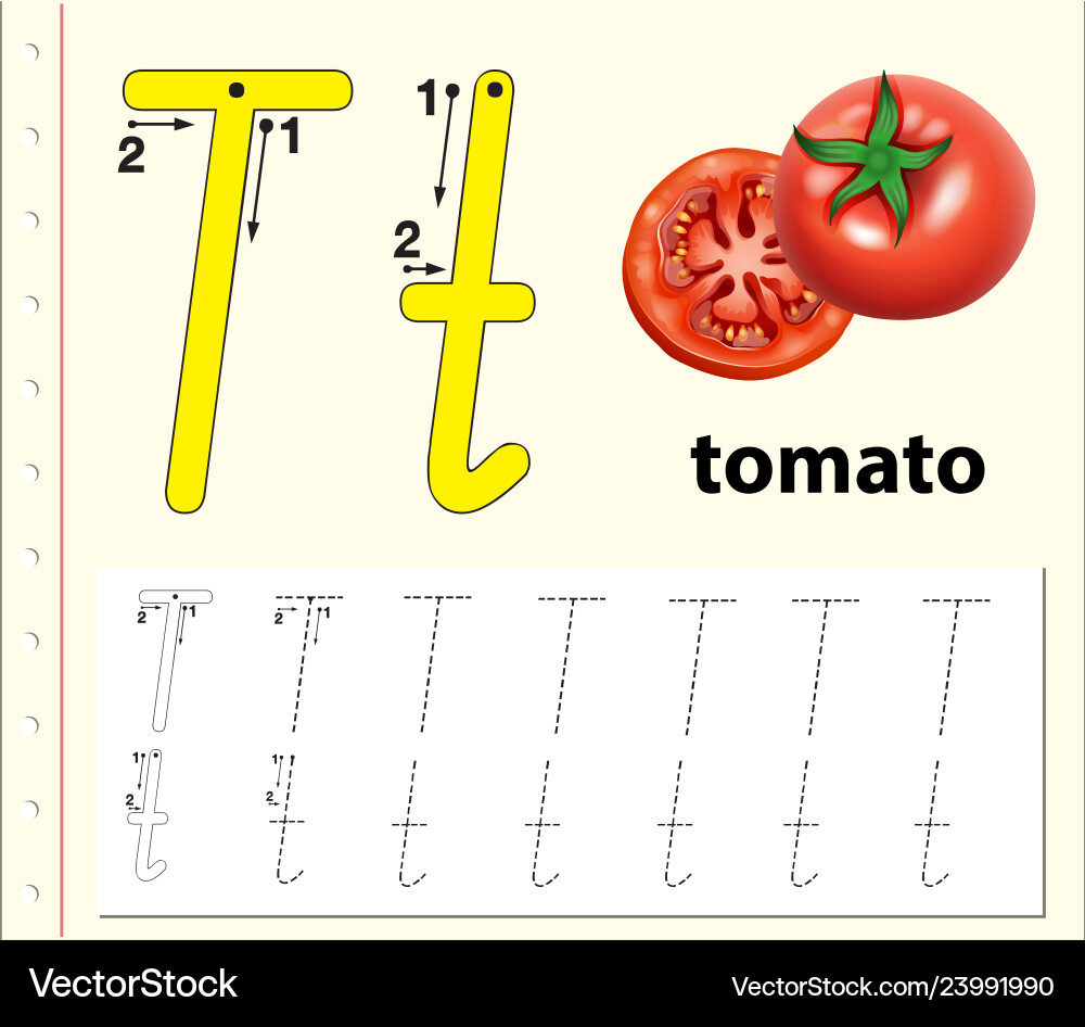 Letter t tracing alphabet worksheets Letter t tracing alphabet worksheets vector image