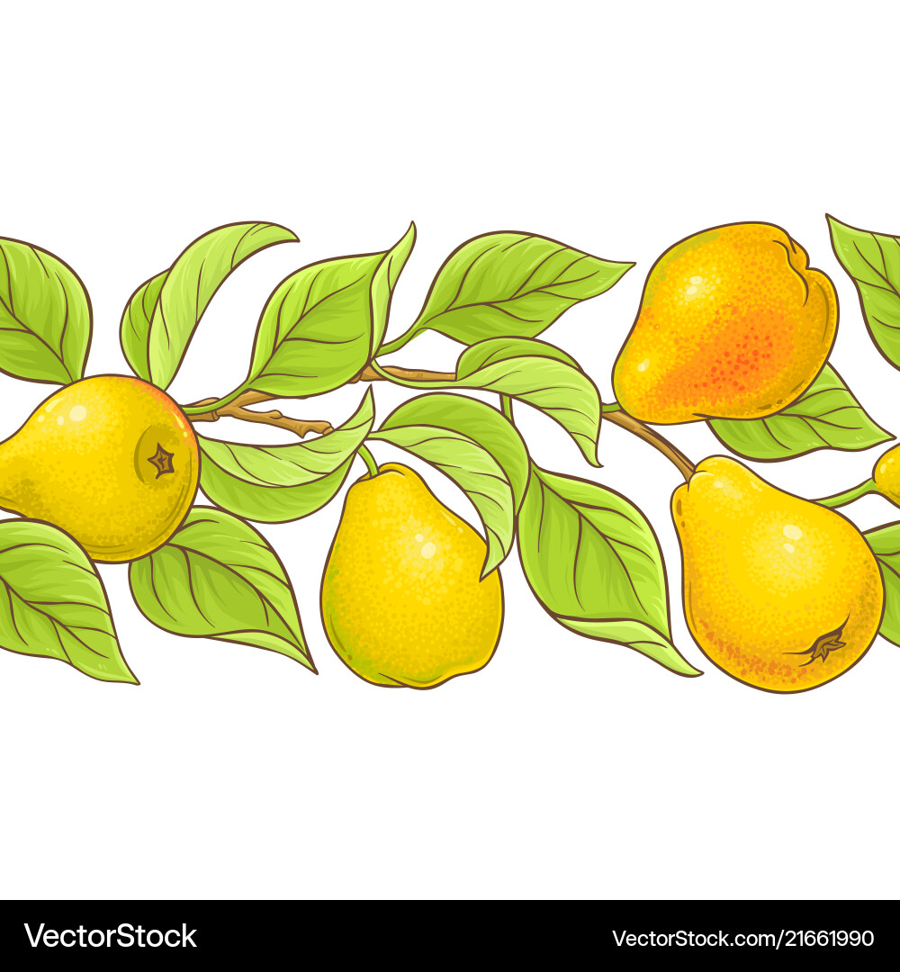 Peered Vector Pear pattern Royalty Free Vector Image - VectorStock