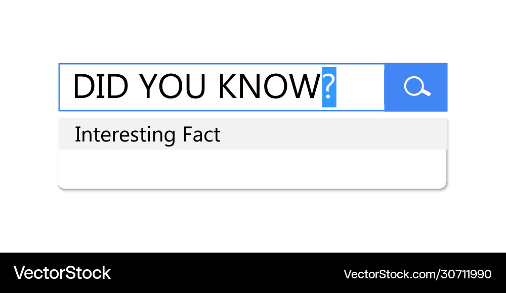 Search query in bar for browser template Search query in bar for browser template vector image