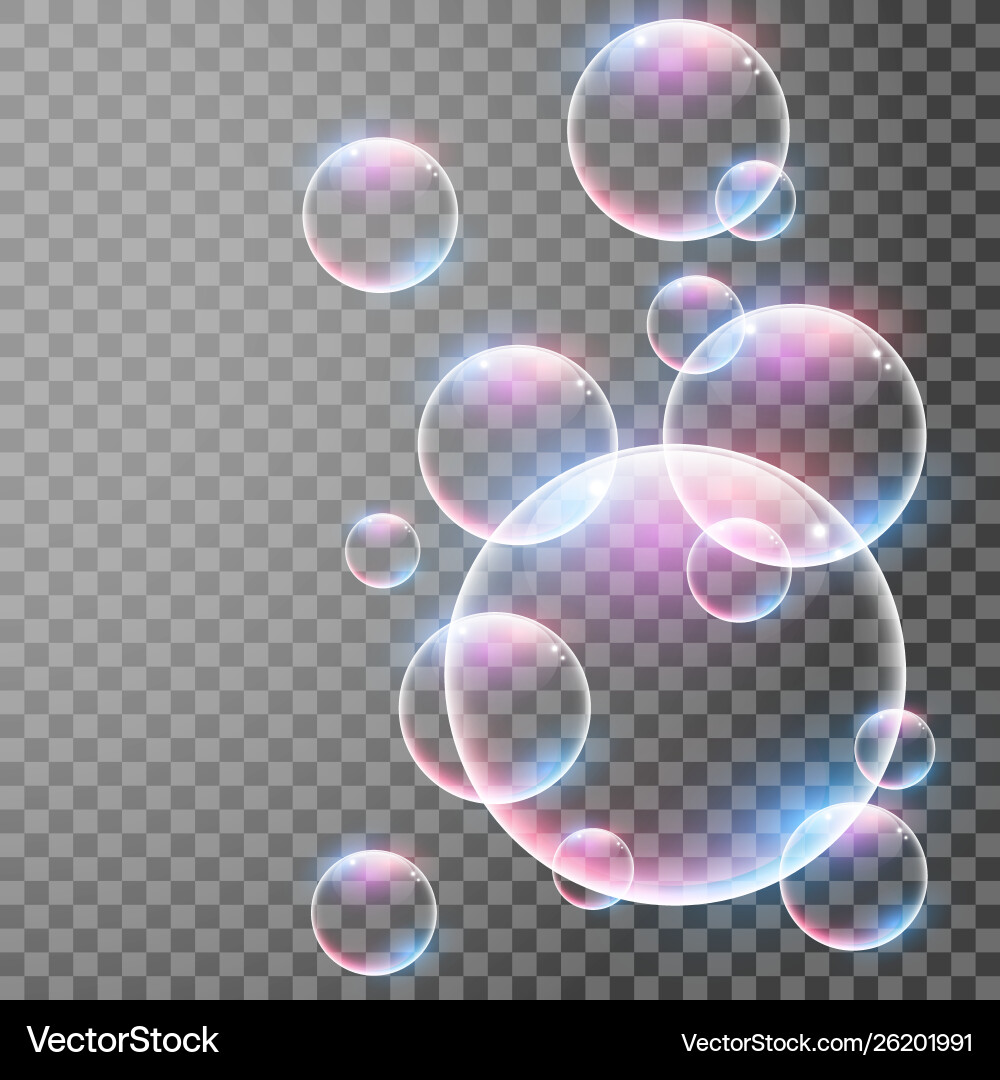 Realistic Soap Bubbles with Reflections vector image