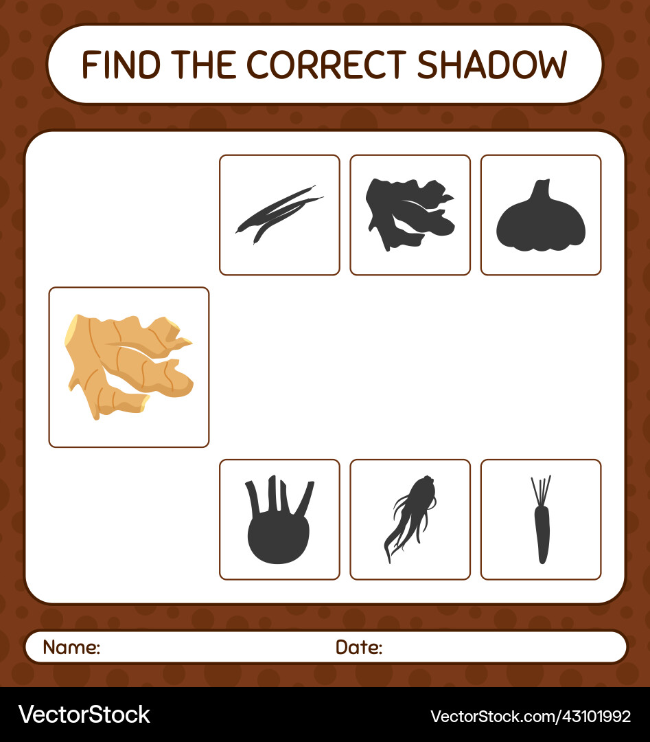 Find the correct shadows game with ginger Vector Image