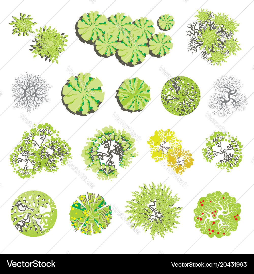 Different plants and trees set for architectural vector image