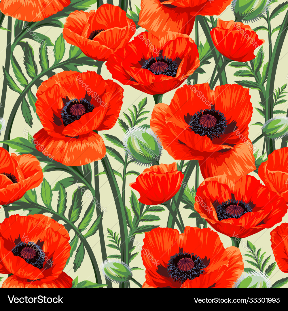 Seamless pattern with red common poppy Seamless pattern with red common poppy Vector Image
