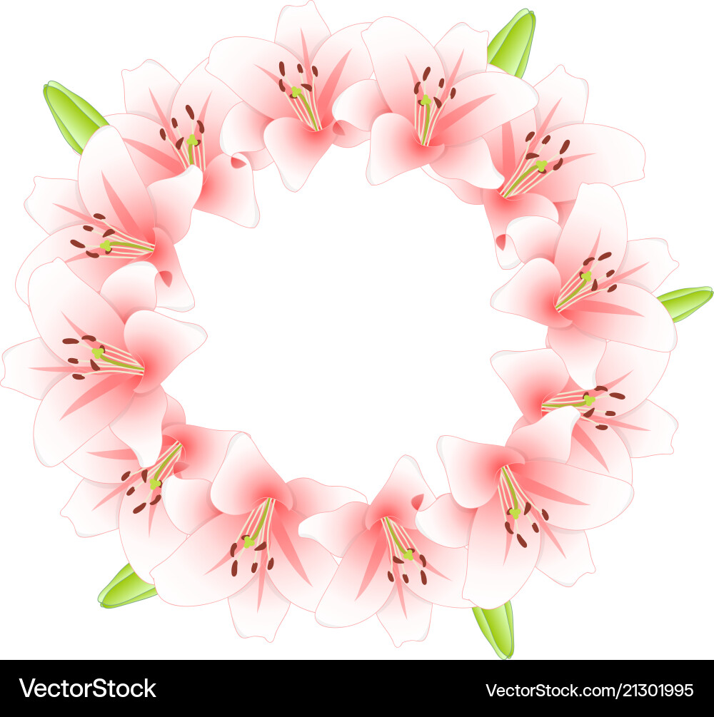 rosa linderkranz Rosa linderkranz vektorbild