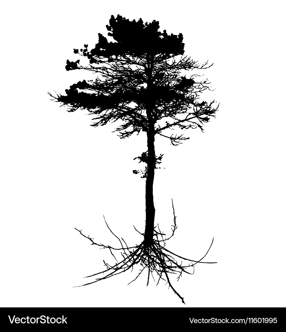 Tree Silhouette with Root System vector image