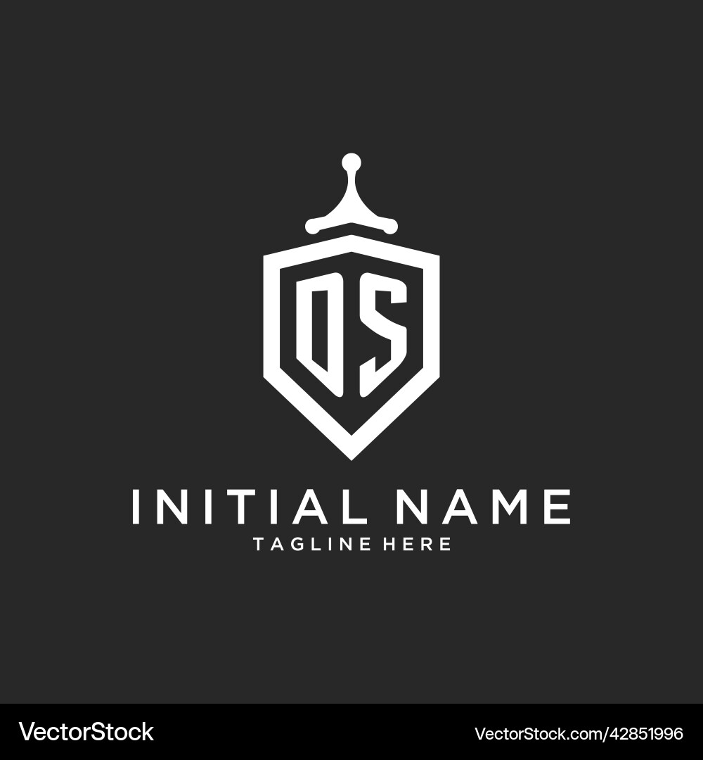 Ds monogram logo initial with shield guard shape vector image