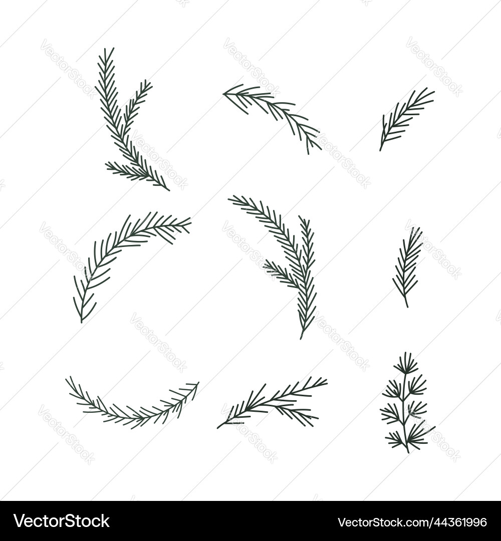 Pine tree branches set Pine tree branches set vector image