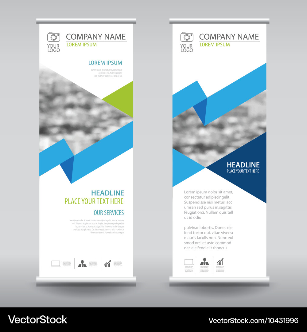 Roll up business brochure flyer banner design vector image