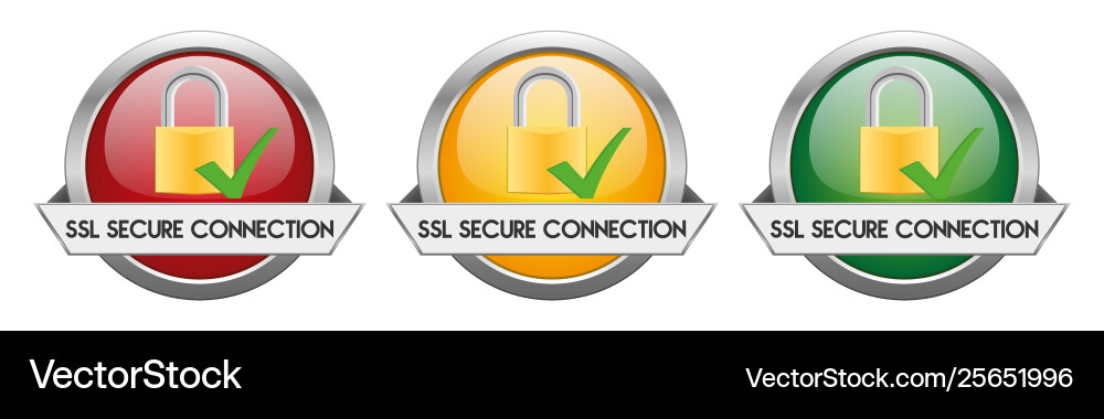 Secure Connection Button - SSL vector image
