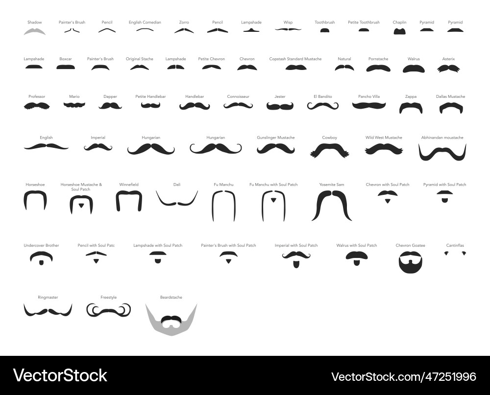 Set of mustaches men with name text style Set of mustaches men with name text style vector image