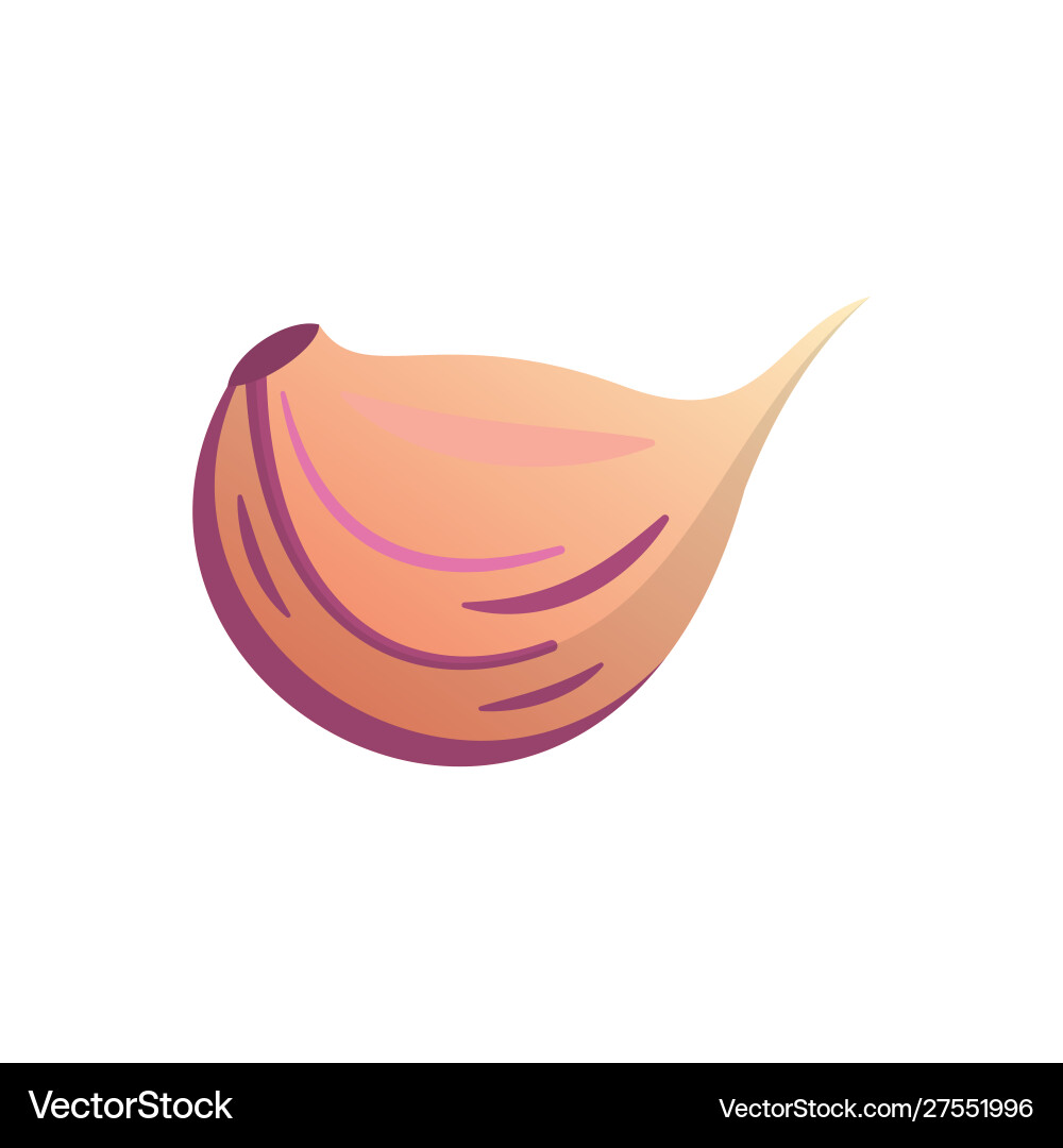 Slice garlic isolated set vitamin Vector Image