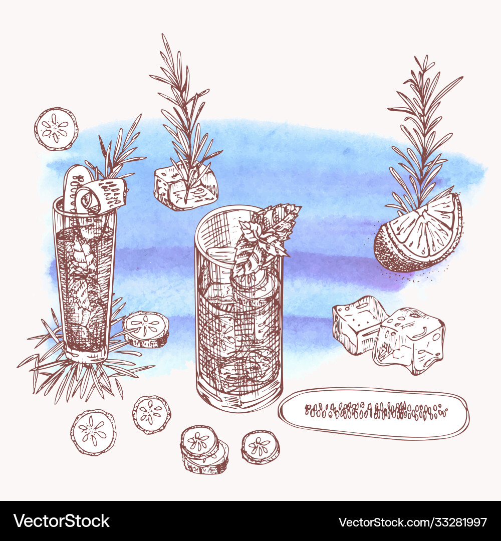 Alcoholic cocktail drink hand drawn sketch art Alcoholic cocktail drink hand drawn sketch art vector image