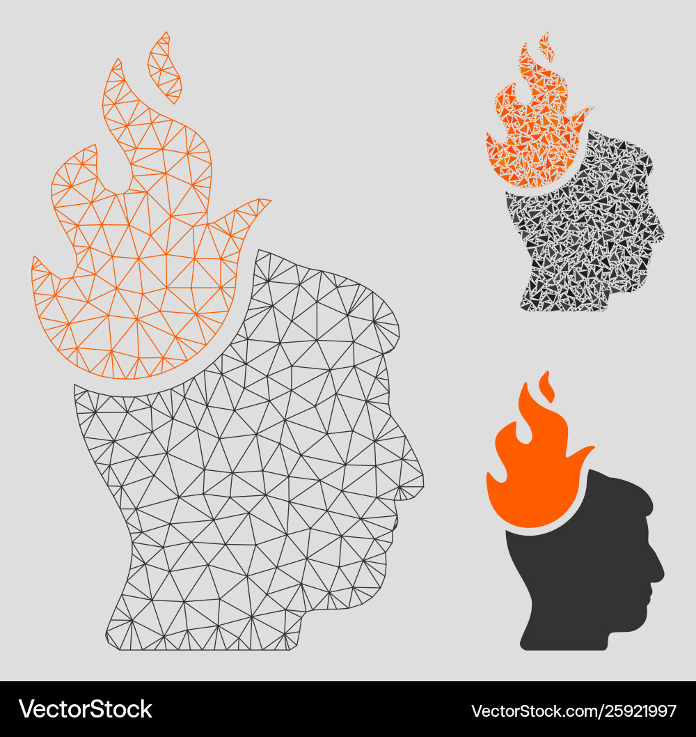 Fired head mesh 2d model and triangle Vector Image