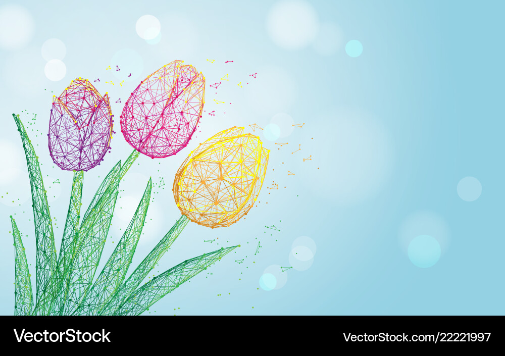 Tulip flowers form lines triangles and particle Vector Image