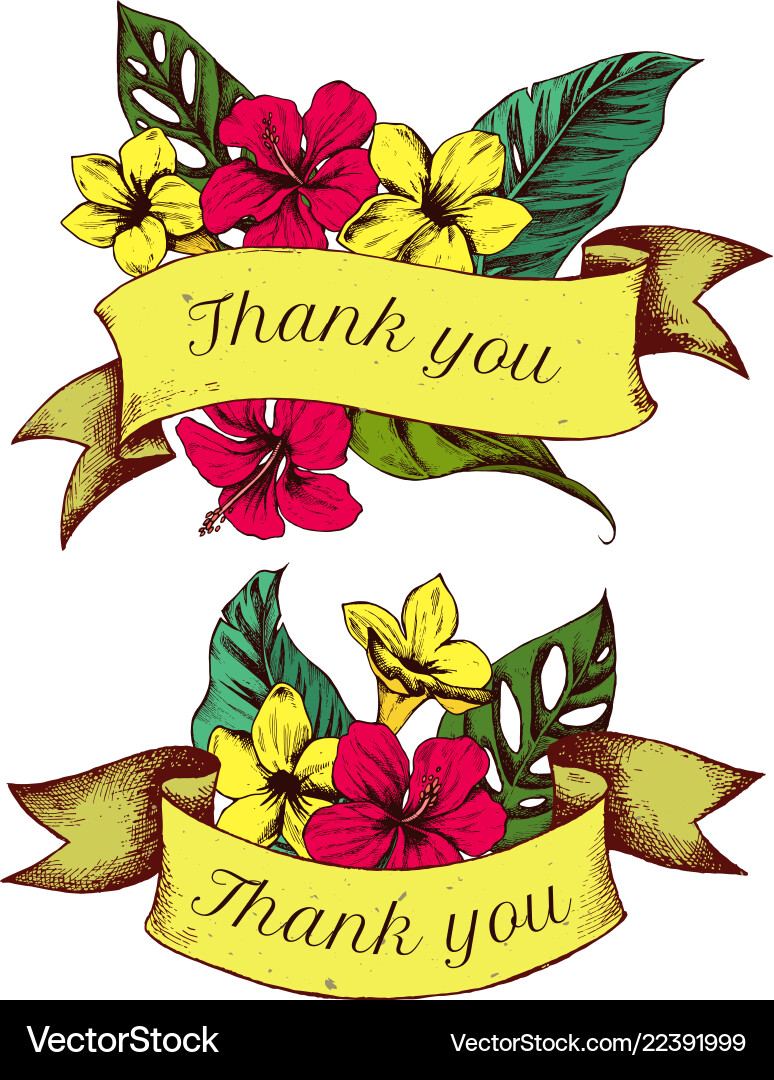 Ribbon Design von Allamandas mit danke singen Ribbon Design von Allamandas mit danke singen vektorbild