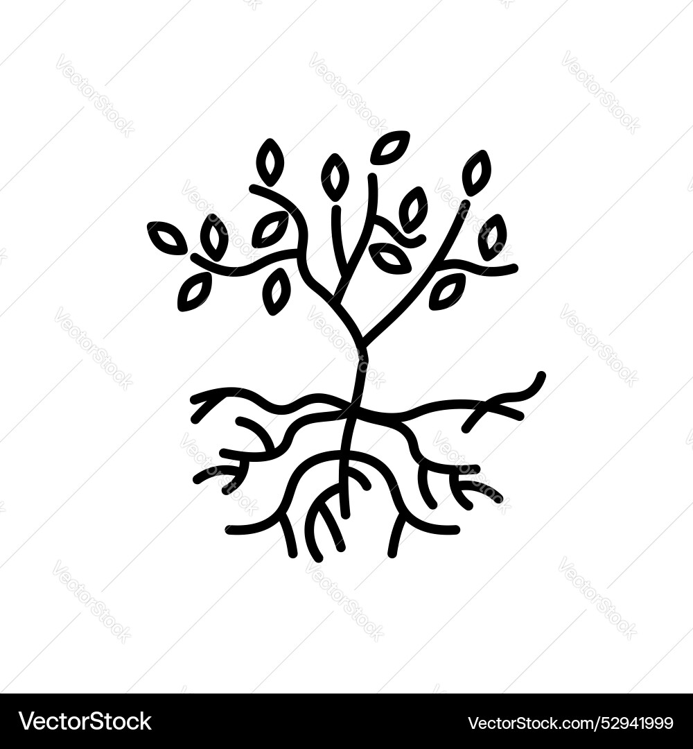 Tree with roots and leaves icon set root leaf vector image
