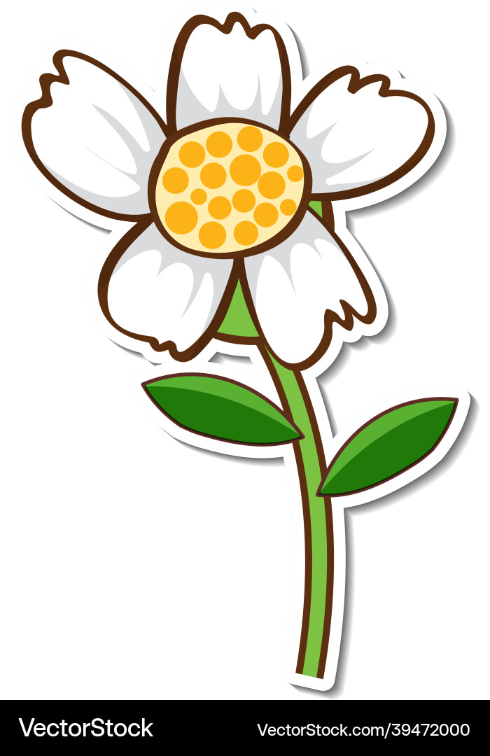 A white grass flower sticker A white grass flower sticker vector image