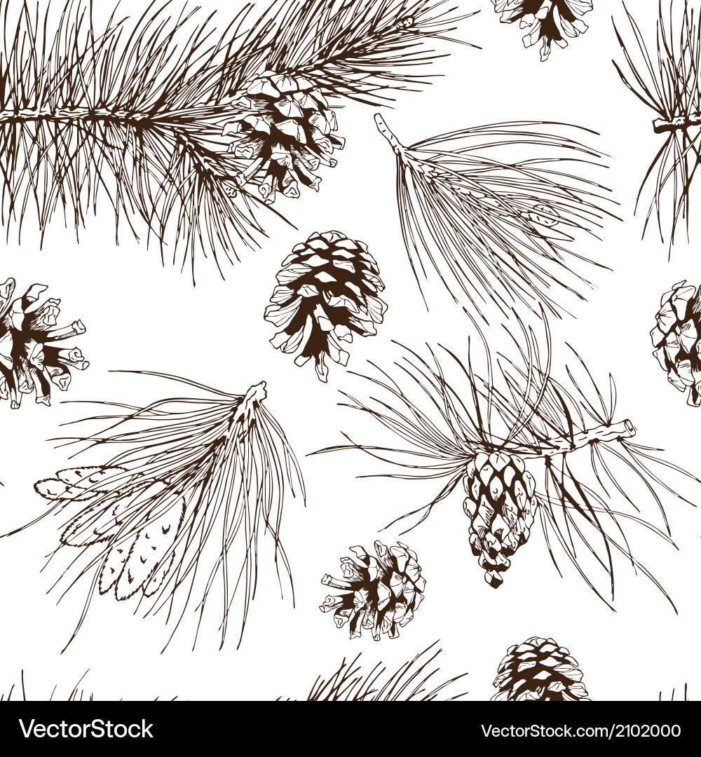 Pine Branch Seamless Pattern vector image