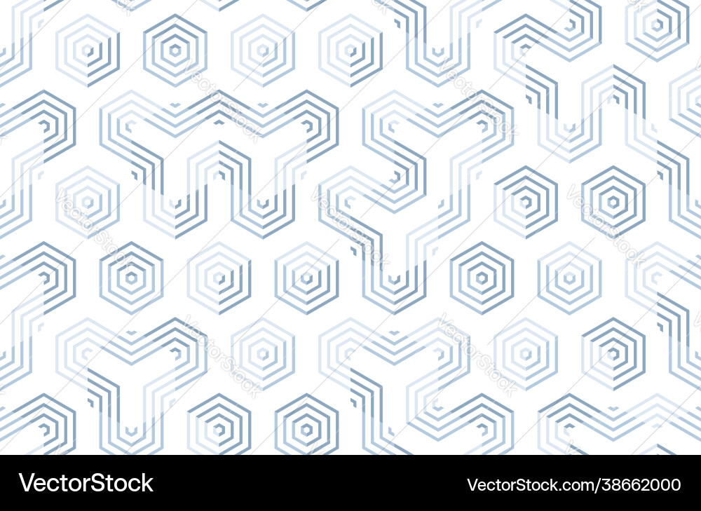 Seamless geometric pattern with hexagons and lines vector image