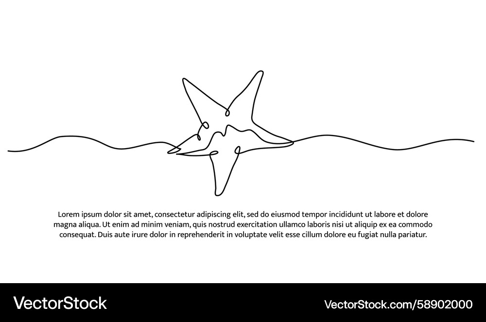 Single Line Starfish Vector Image